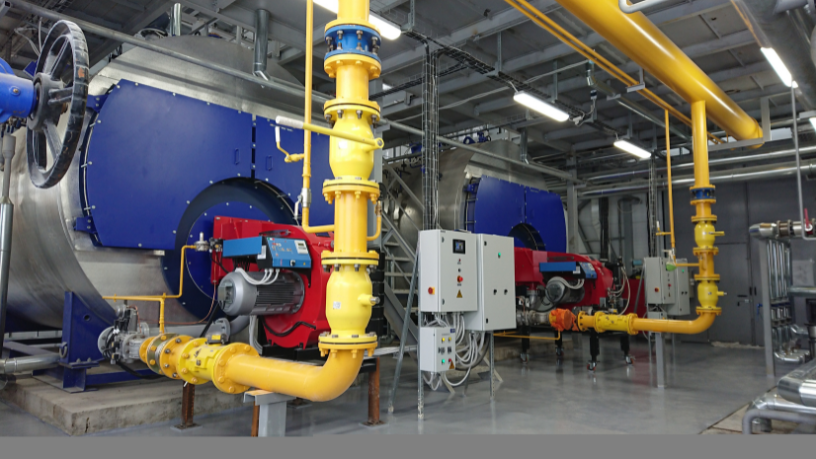 Paulo Roberto Gomes Fernandes