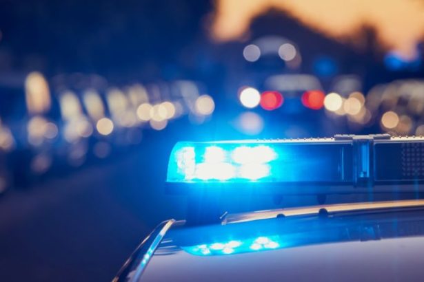 Conflito familiar e violência doméstica: como pequenas disputas podem levar a consequências graves