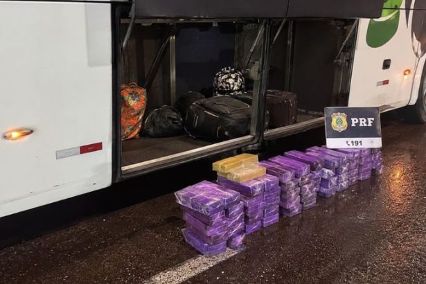 Passageira presa com maconha em ônibus expõe avanço do tráfico nas rotas rodoviárias do Paraná