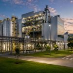 O protagonismo do Paraná no mercado global de colágeno e o impacto dos complexos industriais integrados