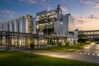 O protagonismo do Paraná no mercado global de colágeno e o impacto dos complexos industriais integrados