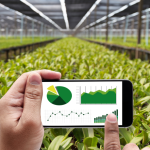 Paraná reforça investimentos em tecnologia no campo e amplia uso de agricultura digital em cooperativas