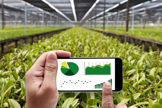 Paraná reforça investimentos em tecnologia no campo e amplia uso de agricultura digital em cooperativas
