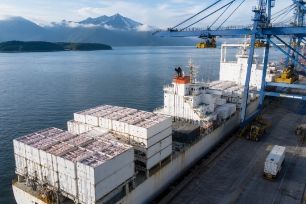 Porto de Paranaguá amplia exportação de frango e chega a mais mercados no mundo