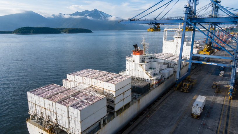 Porto de Paranaguá amplia exportação de frango e chega a mais mercados no mundo